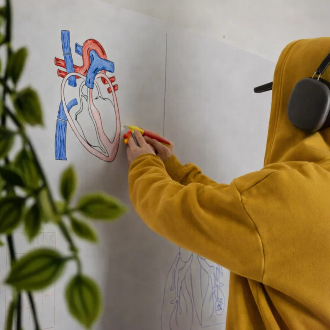 Stikora™ - Pizarra Flexible