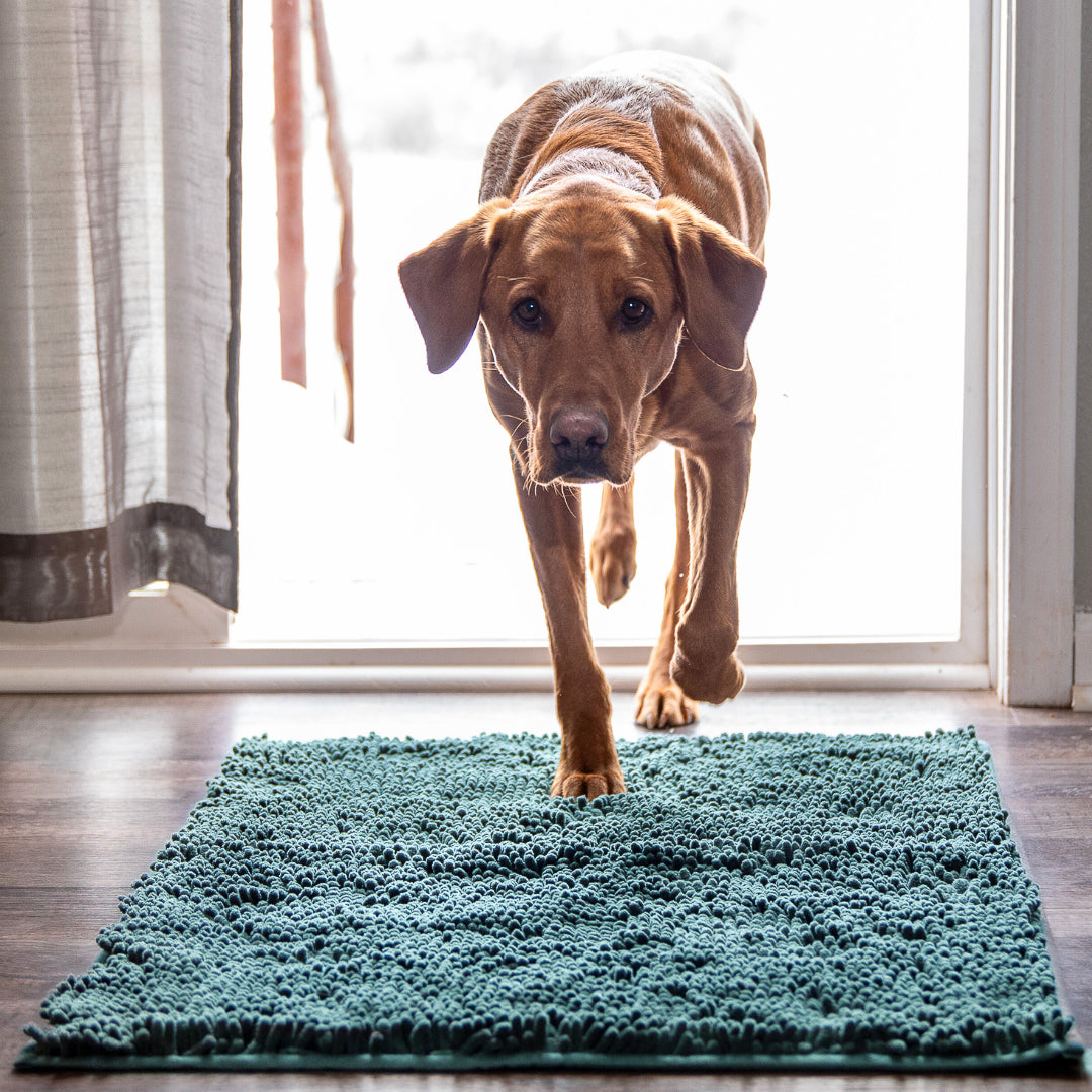 PAWCLEAN™ - Alfombra para mascotas ultraabsorbente