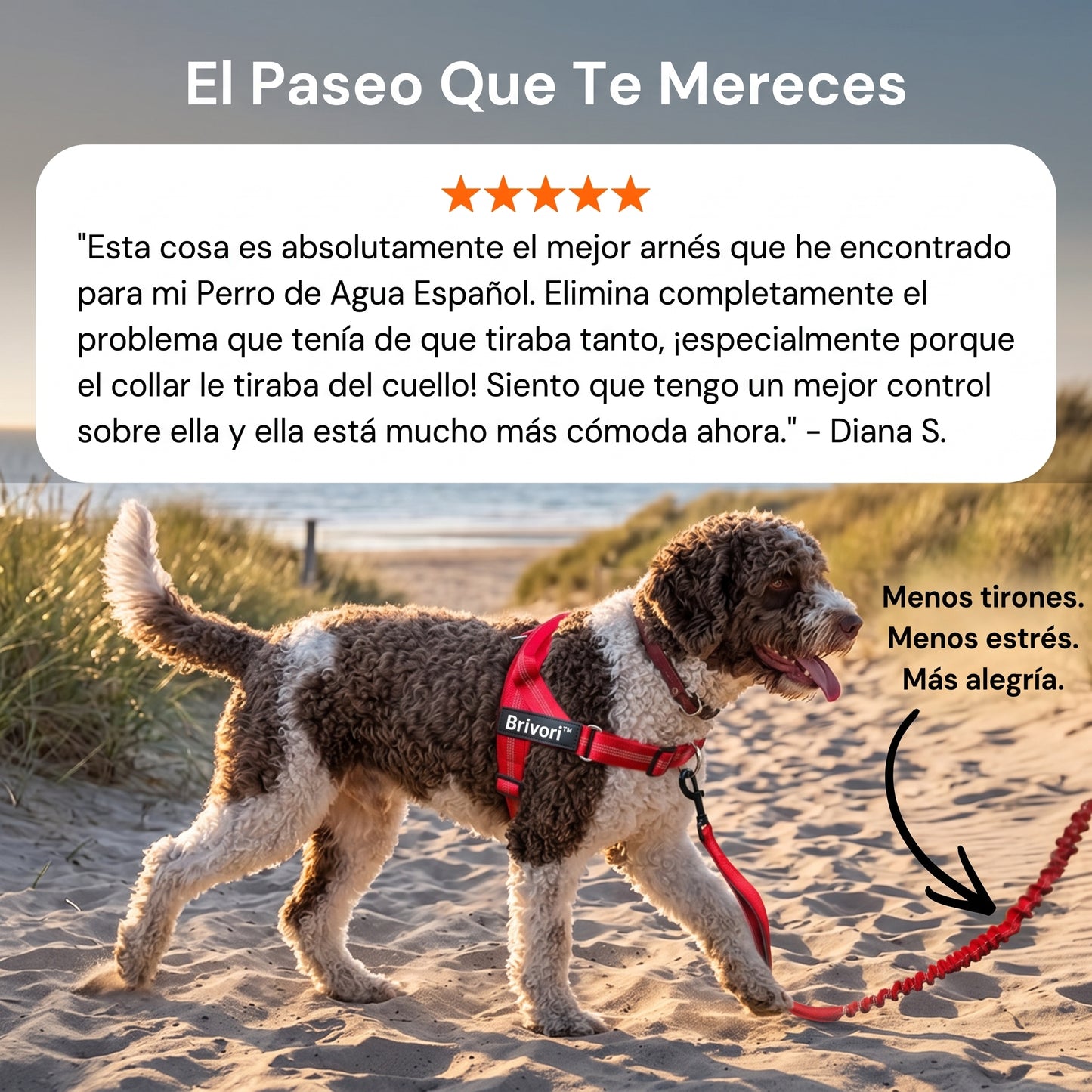 Brivori™ - Arnés Antijalones para Perro