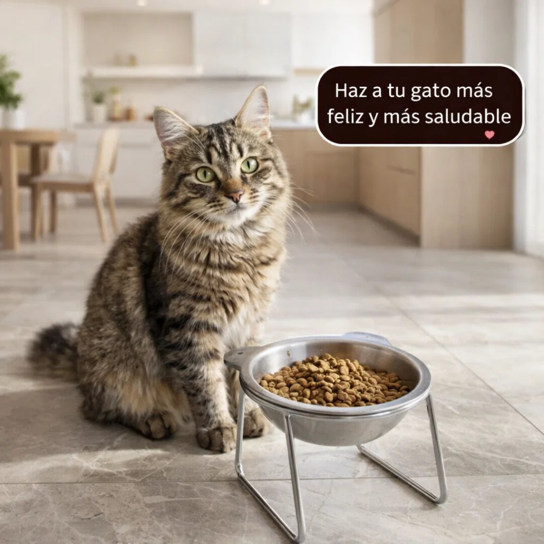 FELIVARA™ - Comedero ortopédico elevado para gatos