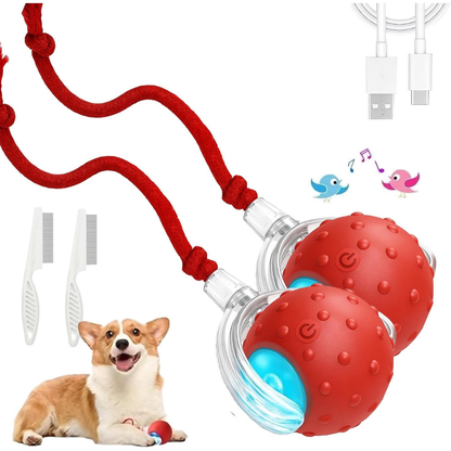 CazaPup™ – Juguete Interactivo Automático para Mascotas