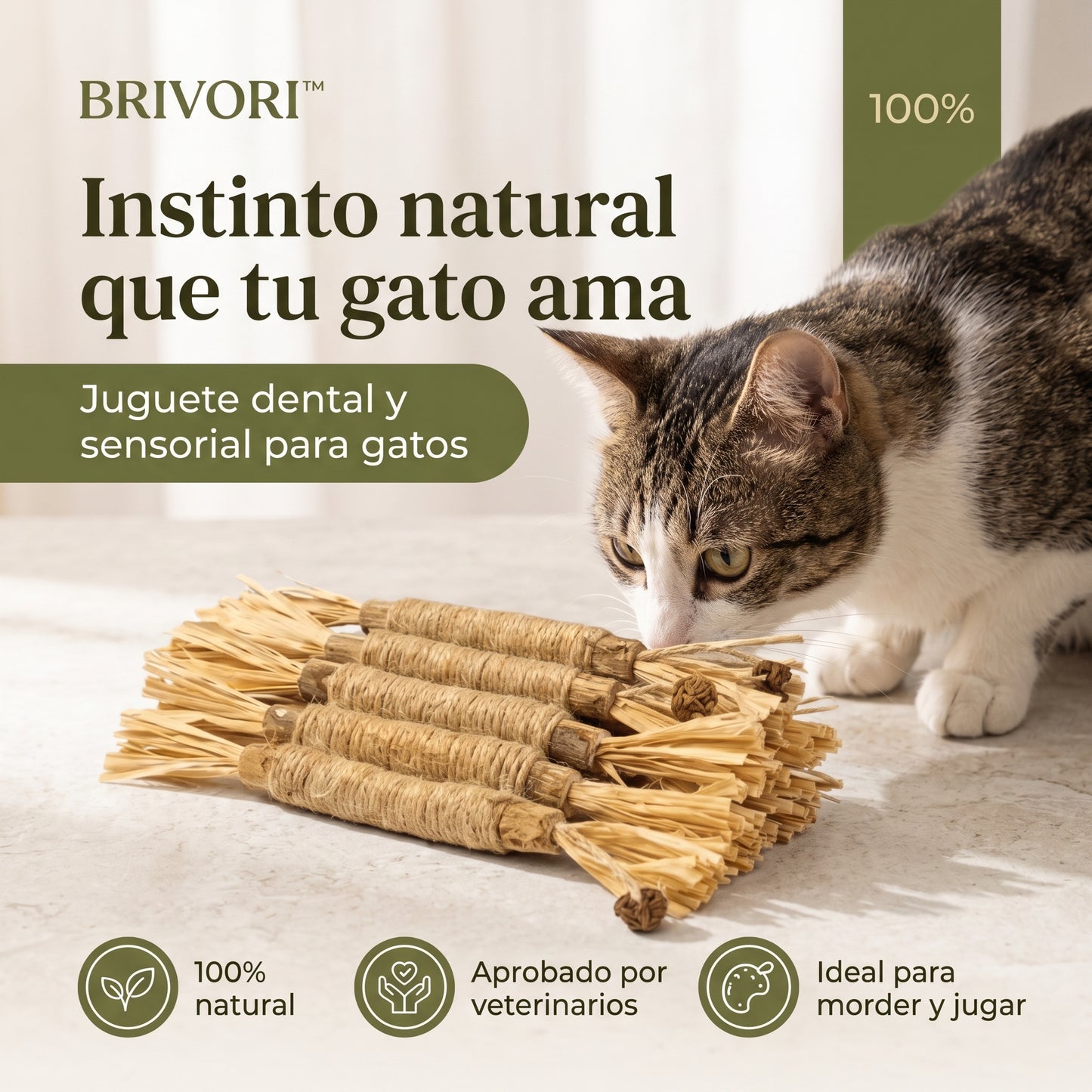 Brivori™ - Palitos Dentales Naturales