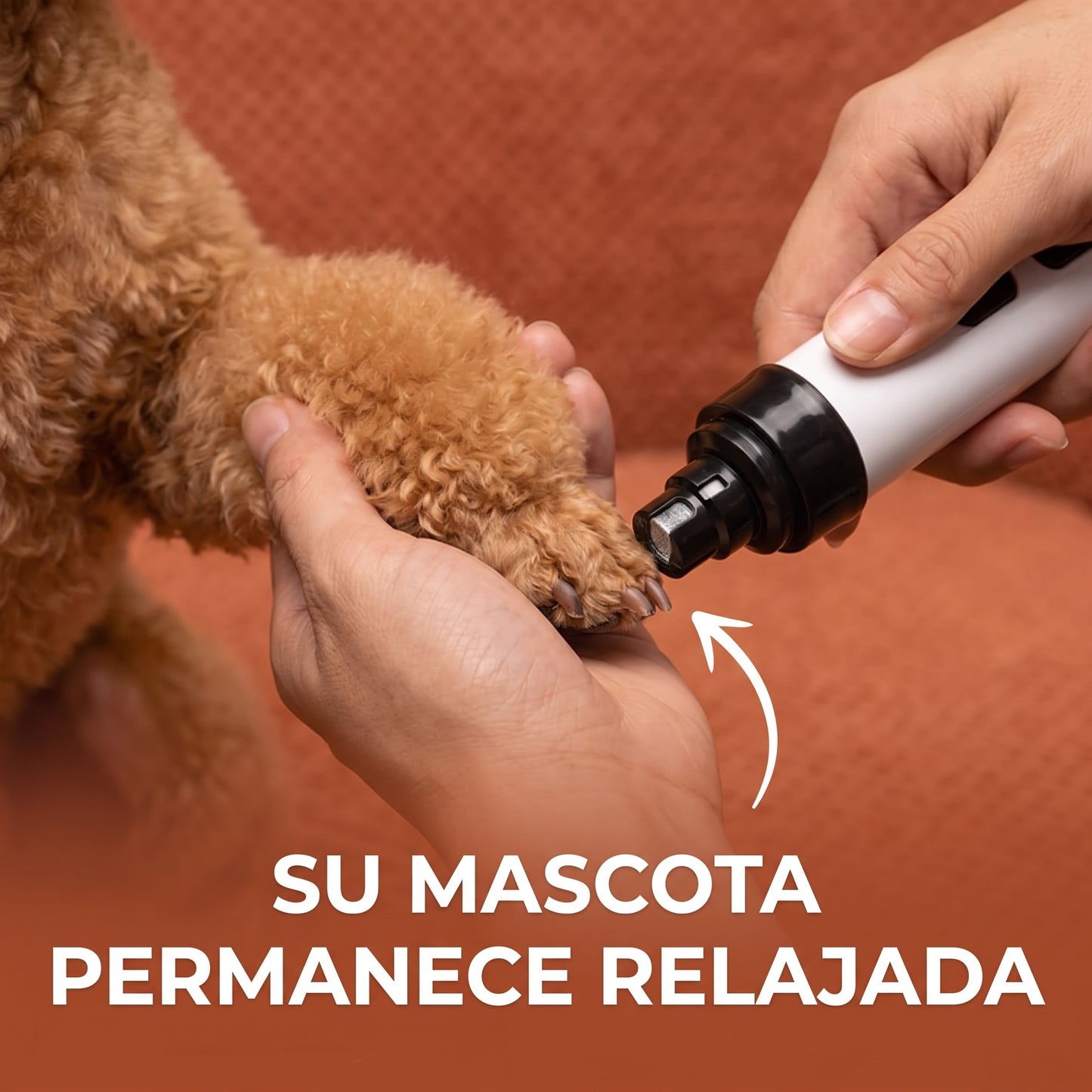 Brivori™ - Lima Eléctrica Silenciosa para Mascotas