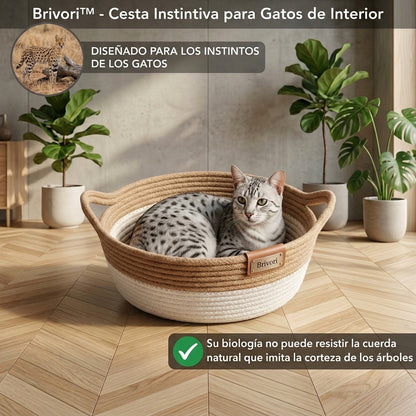 Brivori™ - Cesta Instintiva para Gatos de Interior