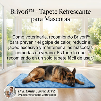 Brivori™ - Tapete Refrescante para Mascotas