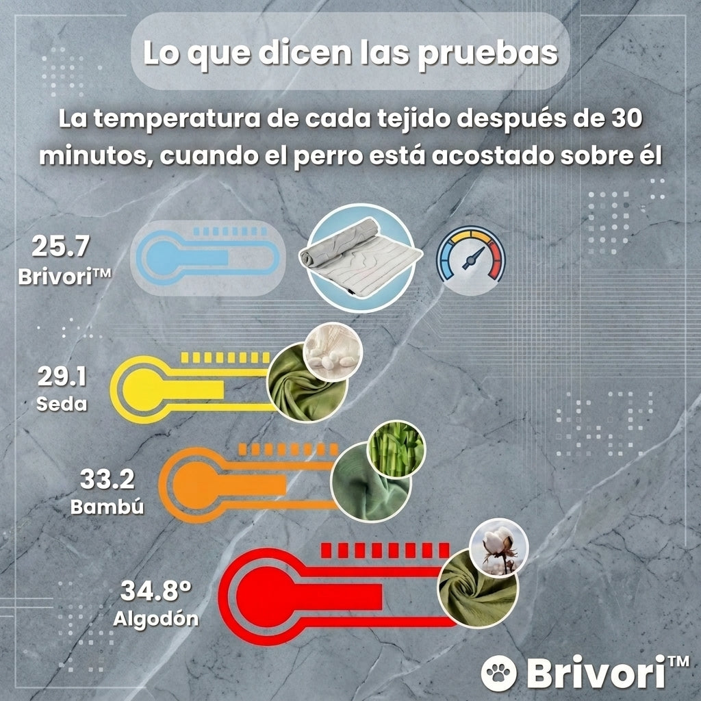 Brivori™ - Tapete Refrescante Reversible para Perros