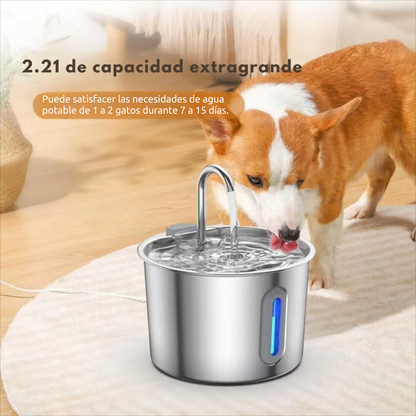 AquaPaws™ – Fuente de hidratación avanzada