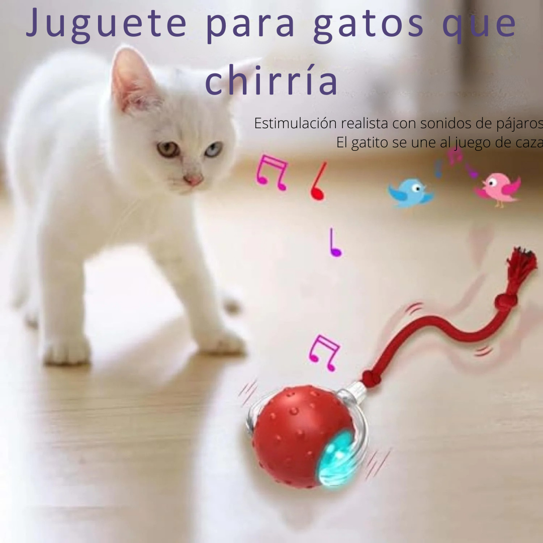 CazaPup™ – Juguete Interactivo Automático para Mascotas