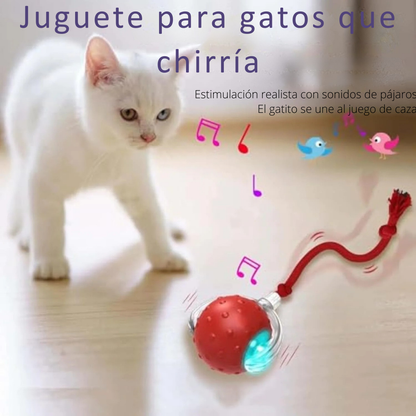 CazaPup™ – Juguete Interactivo Automático para Mascotas