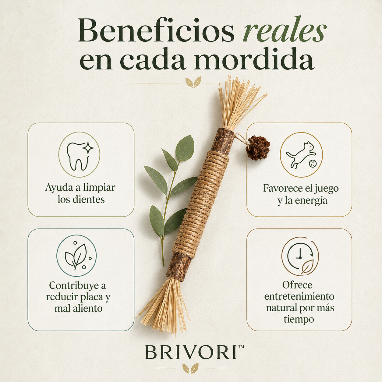Brivori™ - Palitos Dentales Naturales