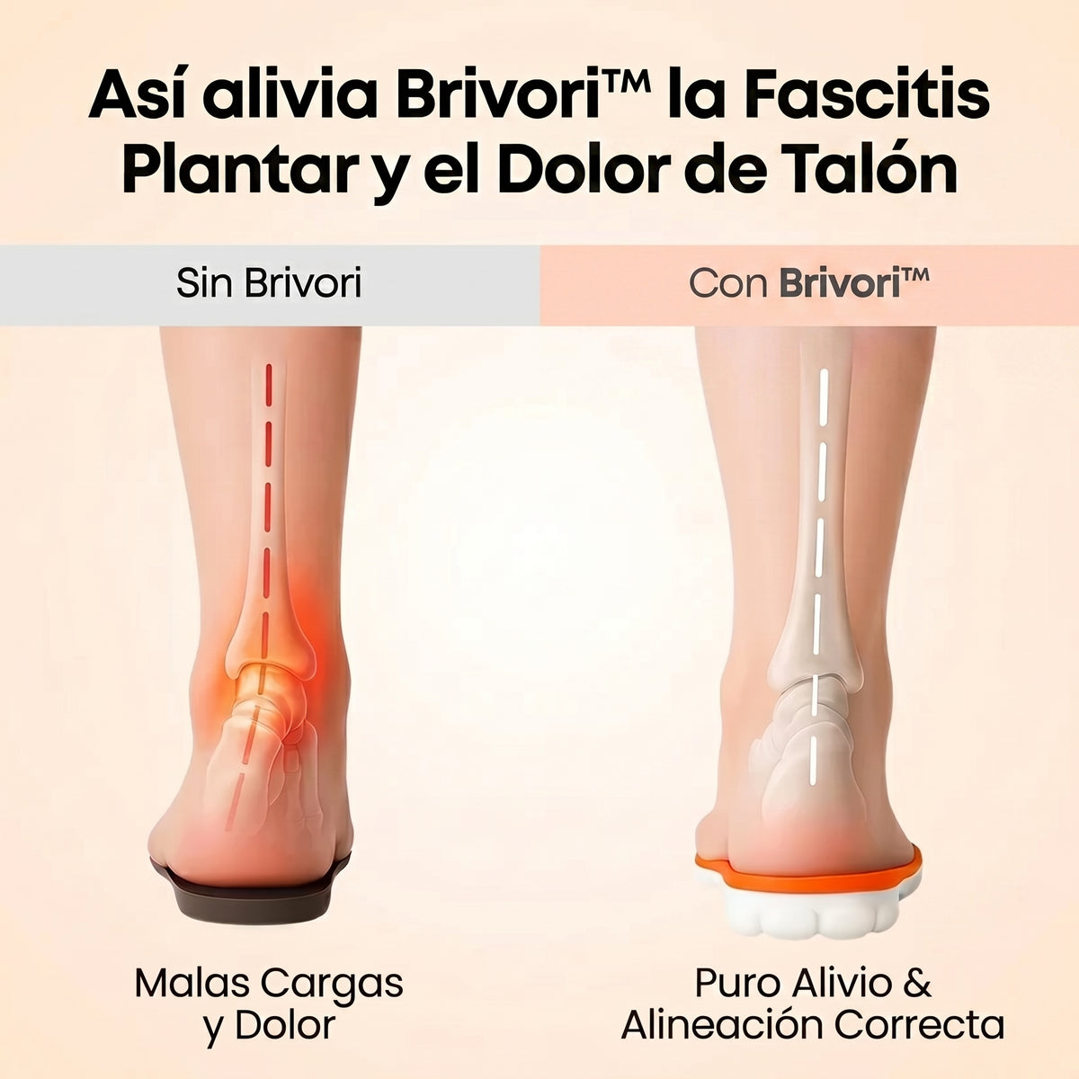 Brivori™ - Plantillas de Descanso Activo