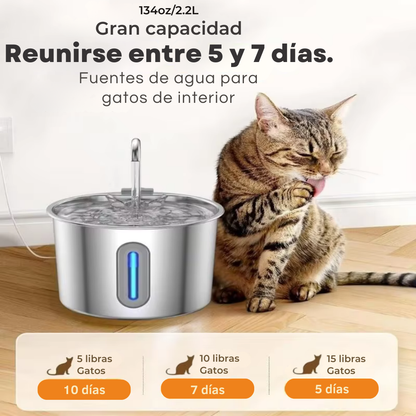 AquaPaws™ – Fuente de hidratación avanzada