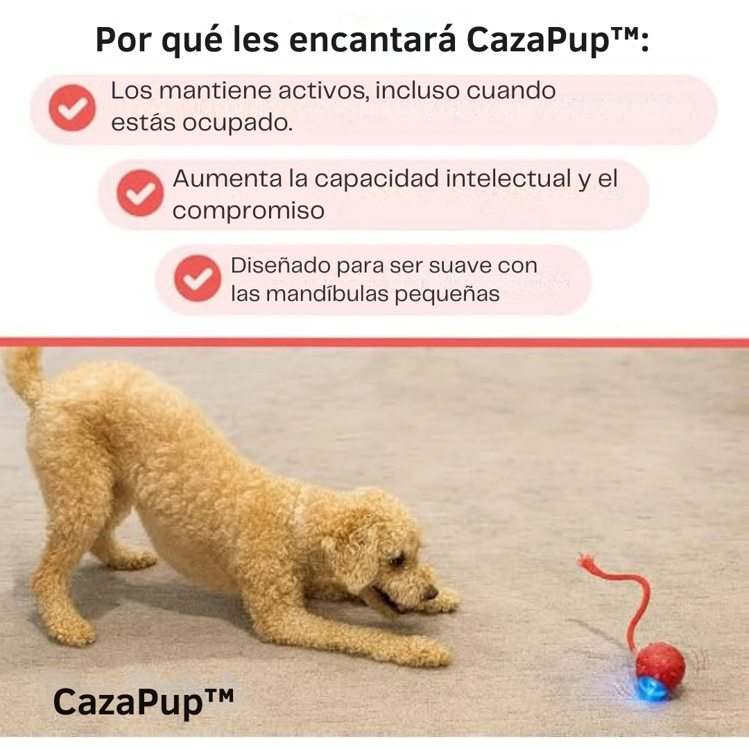 CazaPup™ – Juguete Interactivo Automático para Mascotas
