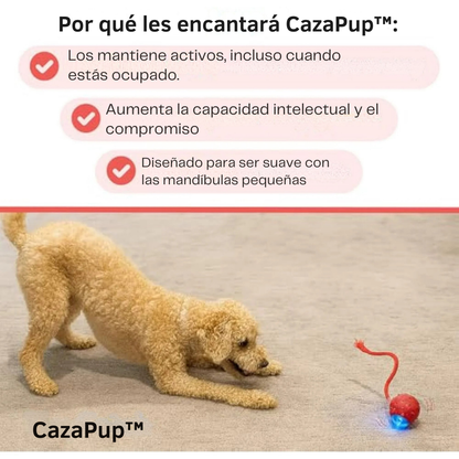 CazaPup™ – Juguete Interactivo Automático para Mascotas