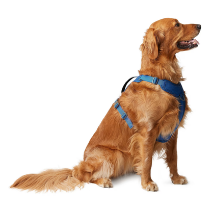 CalmiLead™ – Arnés Antitirones para Perros
