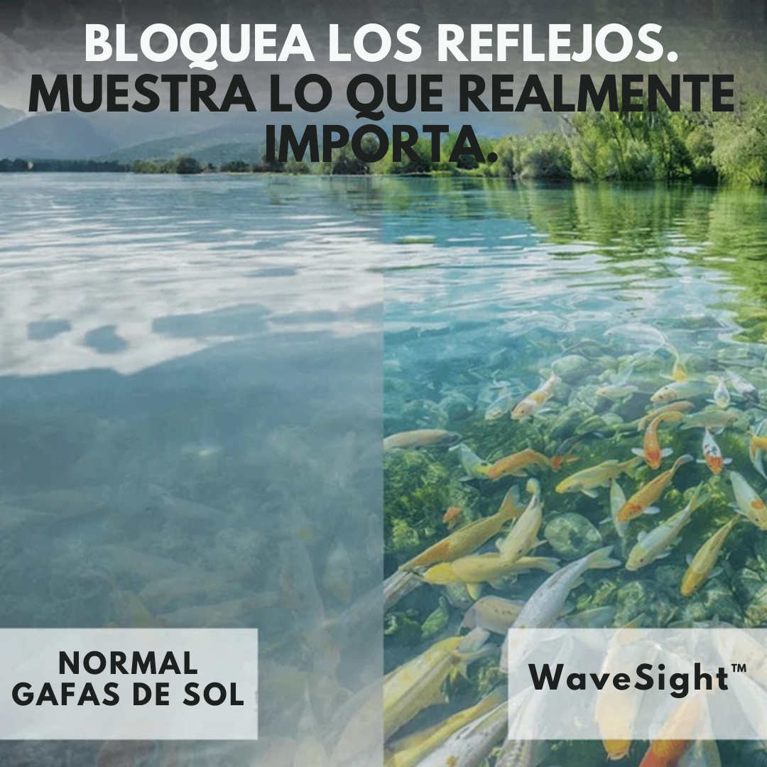 WaveSight™ – Lentes de Sol Polarizados para Pesca