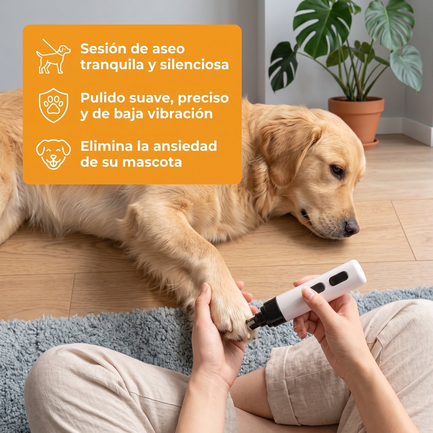 Brivori™ - Lima Eléctrica Silenciosa para Mascotas