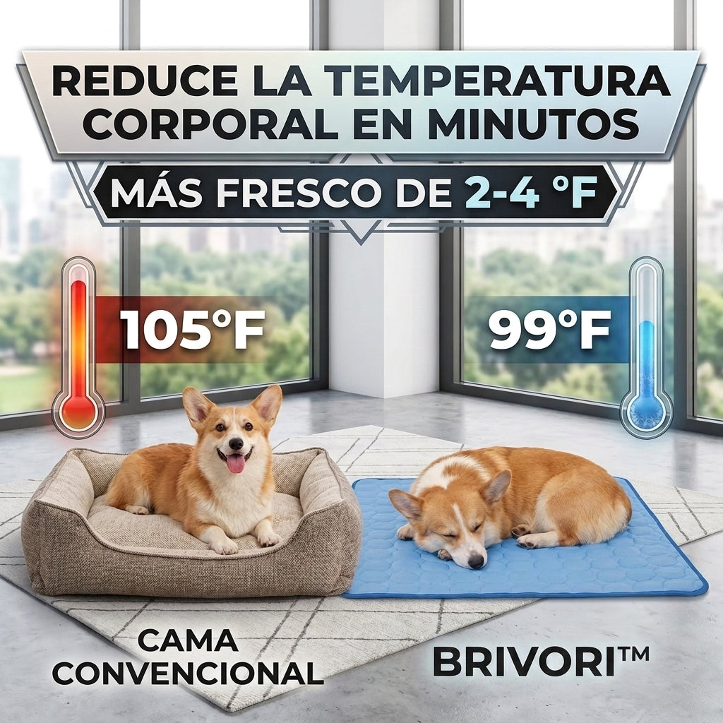 Brivori™ - Tapete Refrescante para Mascotas