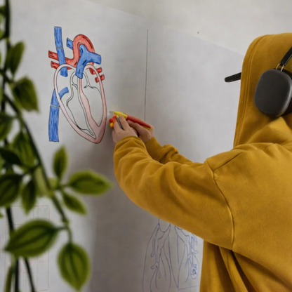 Stikora™ - Pizarra Flexible