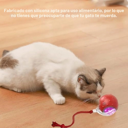 CazaPup™ – Juguete Interactivo Automático para Mascotas