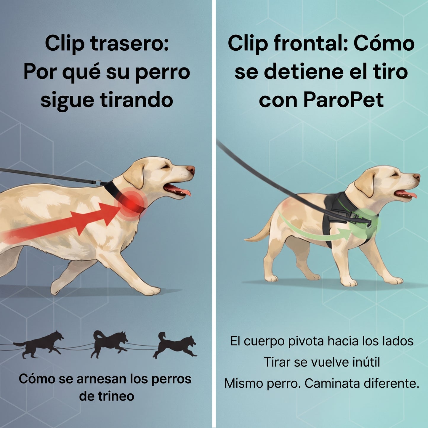 Brivori™ - Arnés Antijalones para Perro