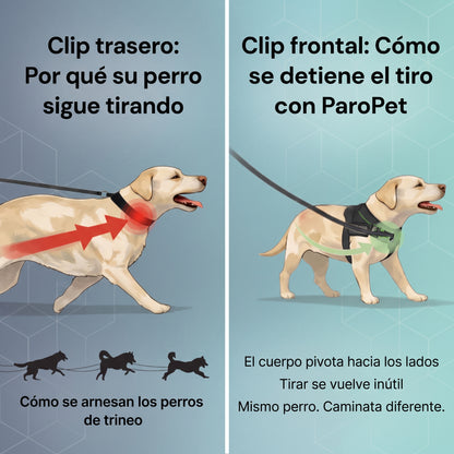 Brivori™ - Arnés Antijalones para Perro