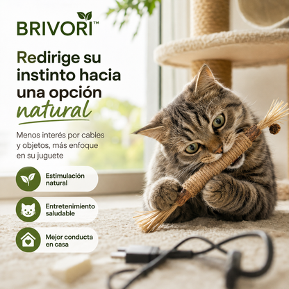 Brivori™ - Palitos Dentales Naturales