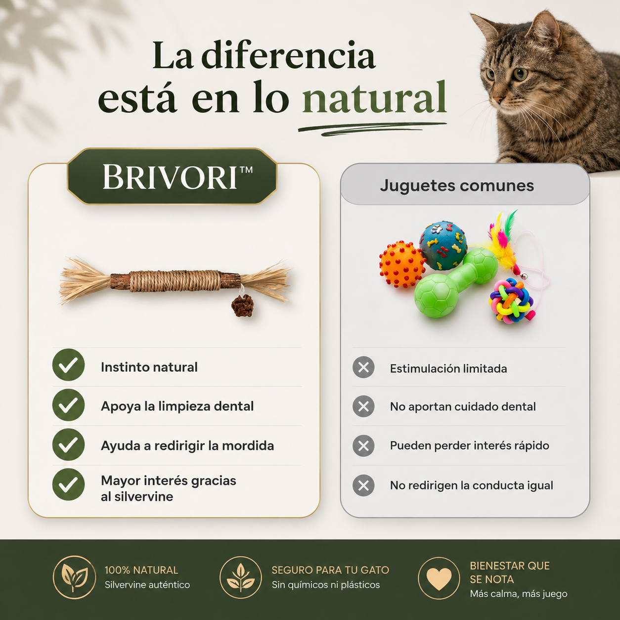 Brivori™ - Palitos Dentales Naturales