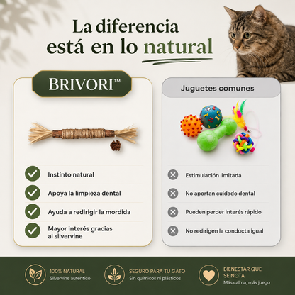 Brivori™ - Palitos Dentales Naturales