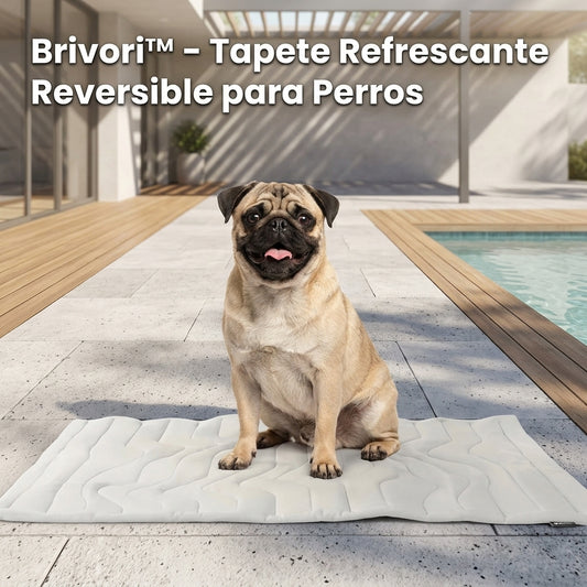 Brivori™ - Tapete Refrescante Reversible para Perros