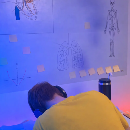 Stikora™ - Pizarra Flexible