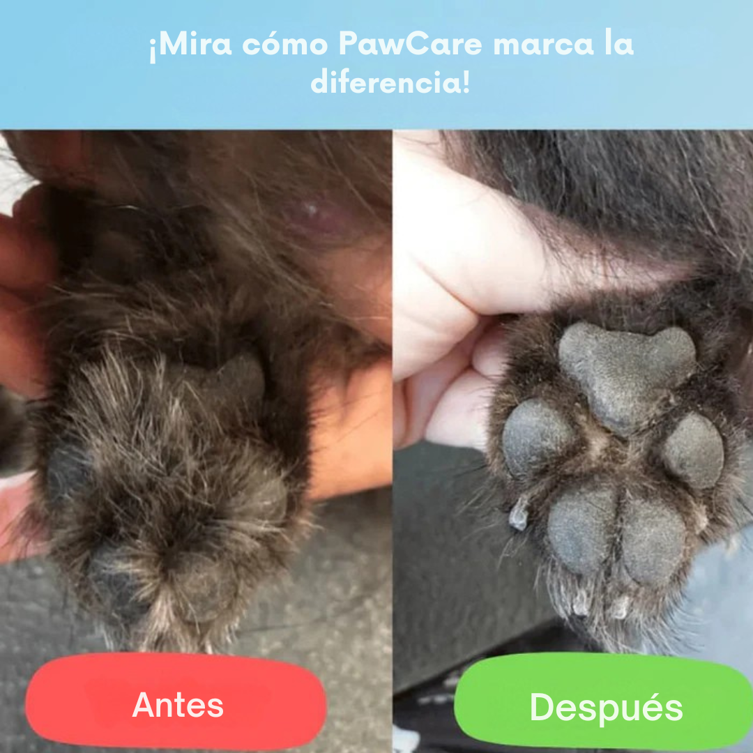 PawCare™ – Cuidado indoloro de las patas en segundos