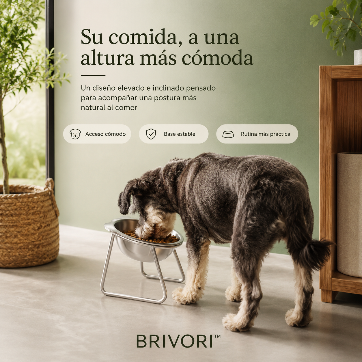 Brivori™ - Comedero Elevado Ergonómico