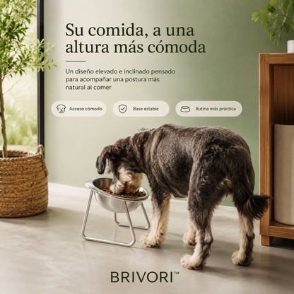 Brivori™ - Comedero Elevado Ergonómico