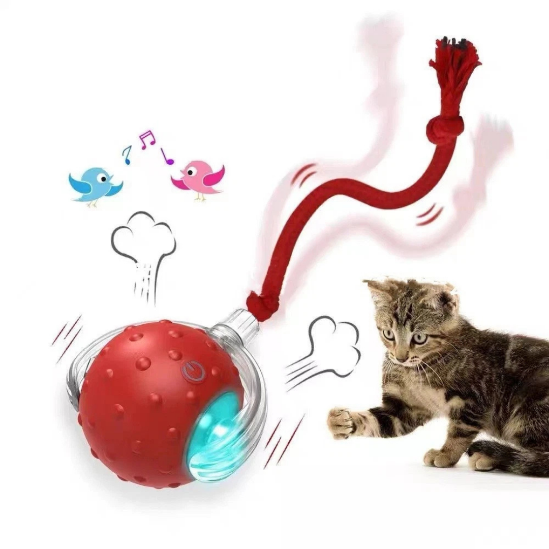 CazaPup™ – Juguete Interactivo Automático para Mascotas