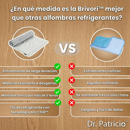 Brivori™ - Tapete Refrescante Reversible para Perros
