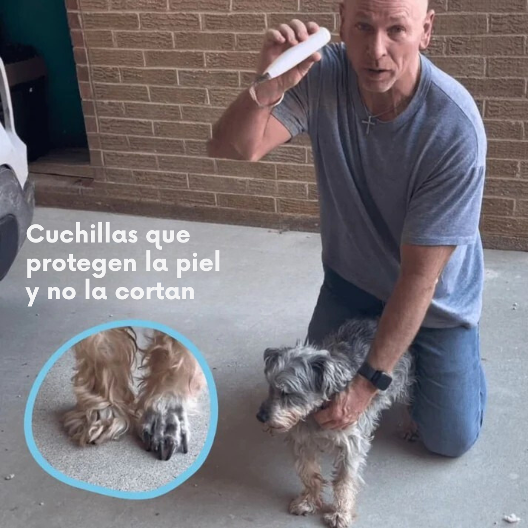 PawCare™ – Cuidado indoloro de las patas en segundos
