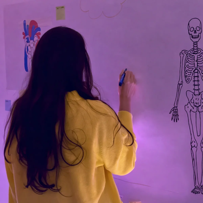 Stikora™ - Pizarra Flexible