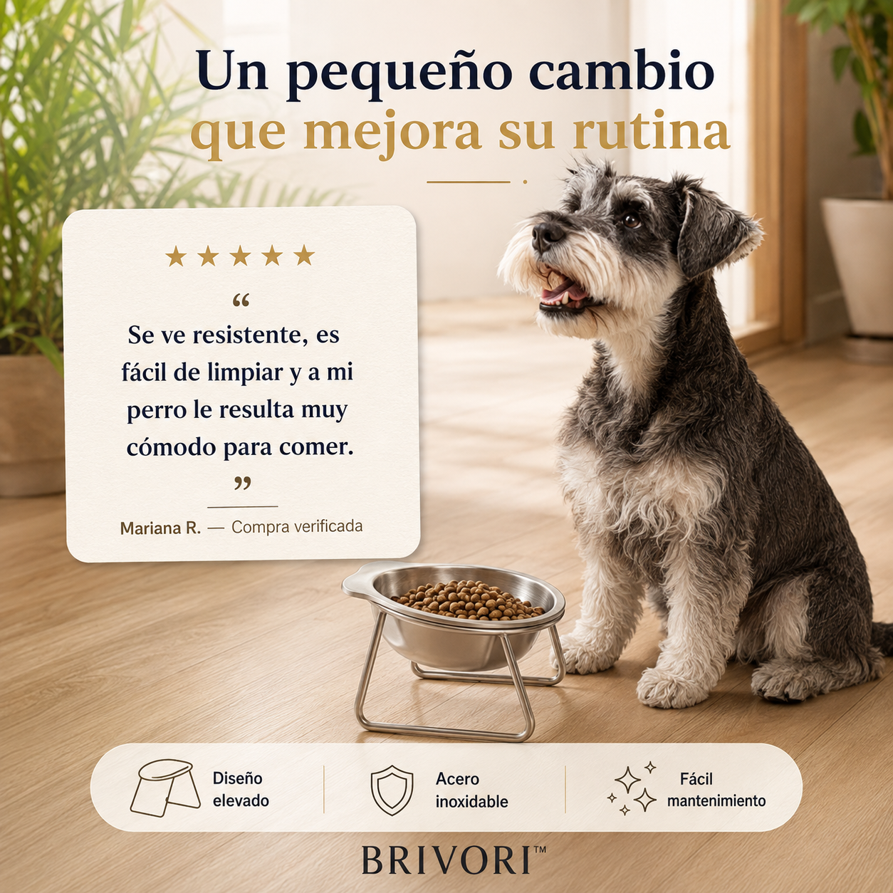 Brivori™ - Comedero Elevado Ergonómico