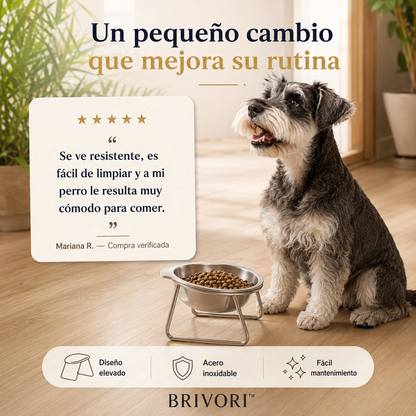 Brivori™ - Comedero Elevado Ergonómico