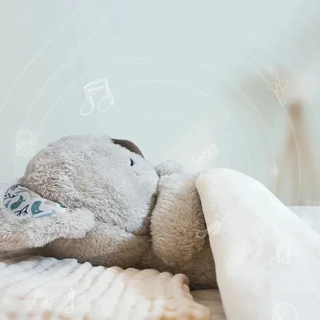 KOZIA™ – Koala Calmante