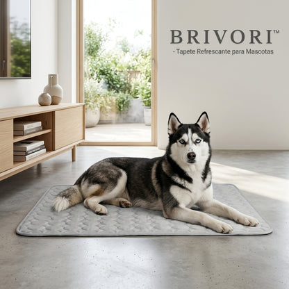 Brivori™ - Tapete Refrescante para Mascotas