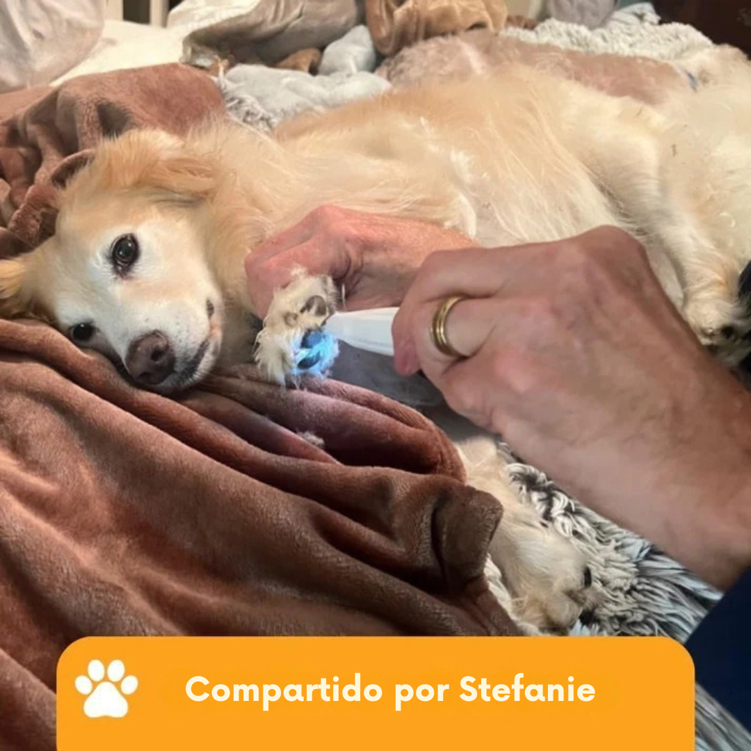 PawCare™ – Cuidado indoloro de las patas en segundos
