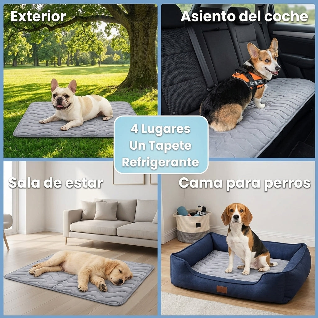 Brivori™ - Tapete Refrescante Reversible para Perros