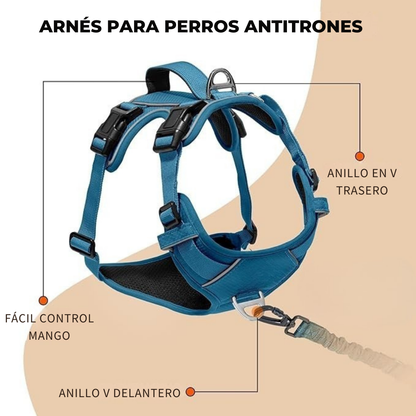 CalmiLead™ – Arnés Antitirones para Perros