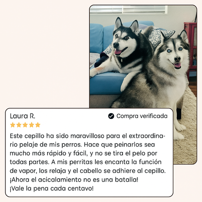Brivori™ - Cepillo profesional para mascotas