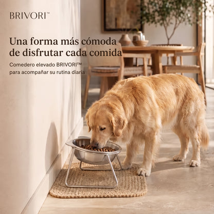 Brivori™ - Comedero Elevado Ergonómico