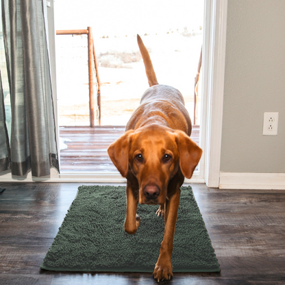 PAWCLEAN™ - Alfombra para mascotas ultraabsorbente