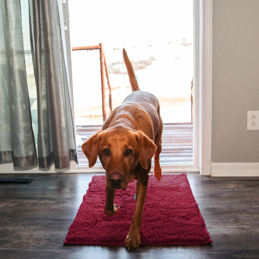 PAWCLEAN™ - Alfombra para mascotas ultraabsorbente