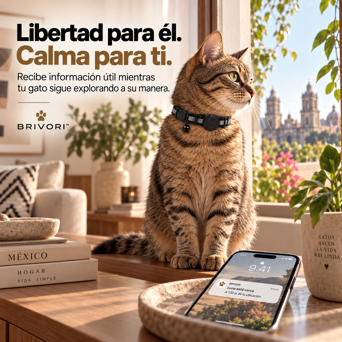 Brivori™ - Collar Localizador GPS para Gatos